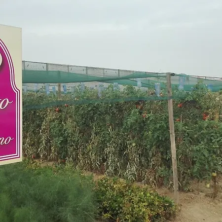 Hotel Madama Vigna Baldichieri