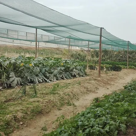 Madama Vigna 3* Baldichieri