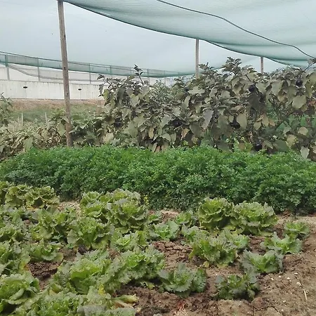 Madama Vigna 3* Baldichieri