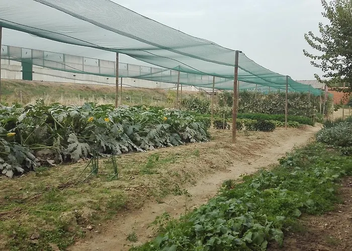 Madama Vigna 3* Baldichieri